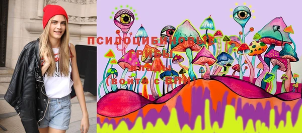 тгк Наволоки