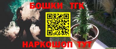 ешки Камышлов