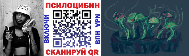 магазин продажи наркотиков  Советск  Псилоцибиновые грибы Psilocybe 