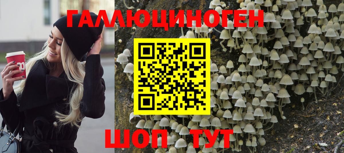 Псилоцибиновые грибы Psilocybe Советск