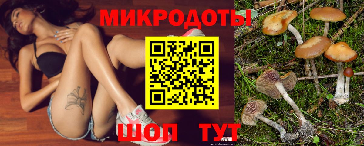 Галлюциногенные грибы ЛСД  Псилоцибиновые грибы Magic Shrooms  где купить наркоту  Советск  Вход с VPN 